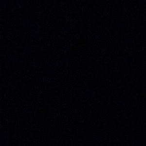 Meet your Posher, Tasha